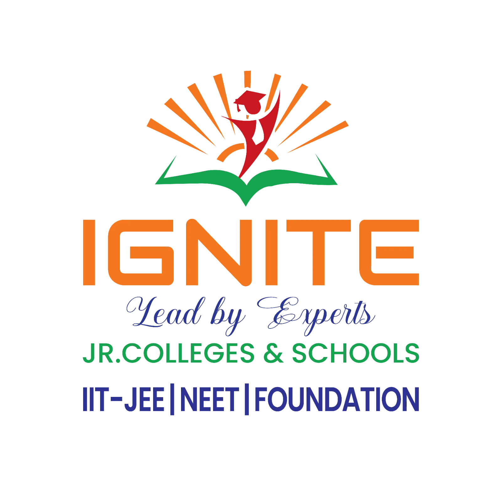 Ignite Institutions Logo